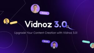 Vidnoiz